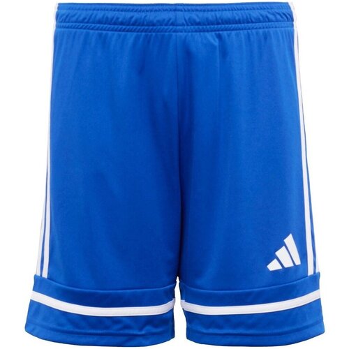 Adidas Kratke hlače &amp;amp; Bermuda Squadra 25 pisana Slike