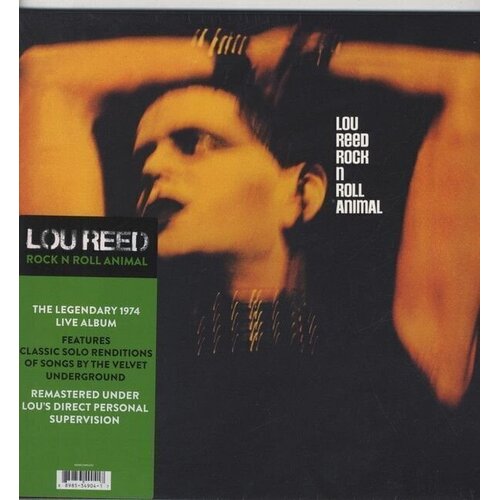 Lou Reed Reed, Lou - Rock N Roll Animal Cene