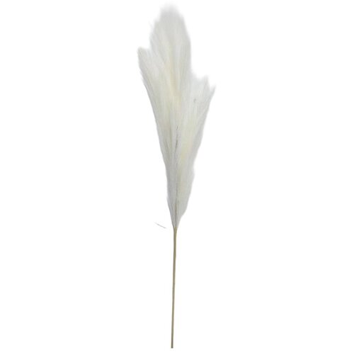  Rezano cvijeće grana pampas 110 cm 63450110 Cene