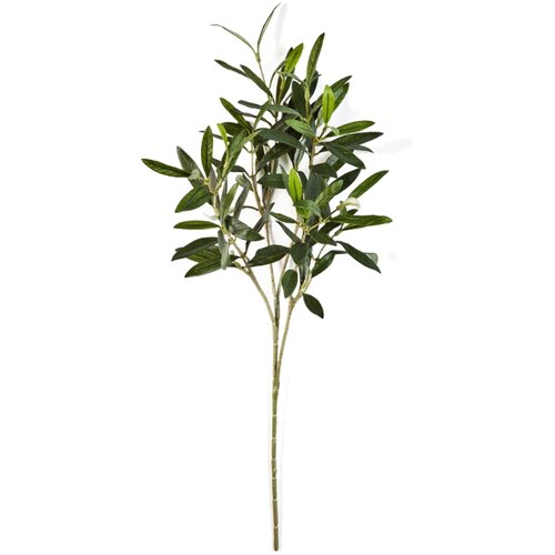 Floraworld Set od 3 ve&scaron;tačke grane Masline Cene