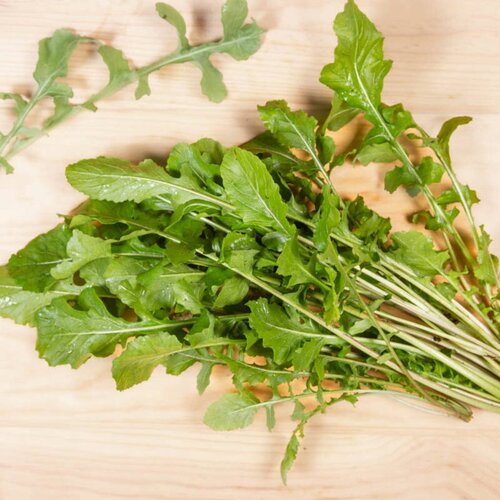 Kokopelli Bio rukola "Arugula" - 6 g Cene