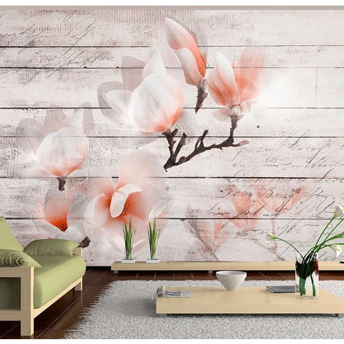  tapeta - Subtlety of the Magnolia 250x175