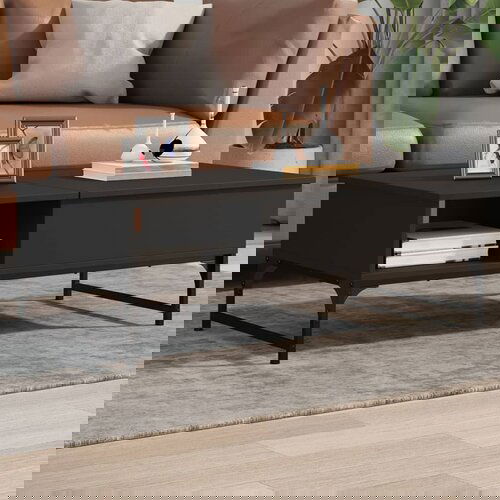vidaXL Stolić za kavu crni 100 x 50 x 35 cm konstruirano drvo i metal Cijene
