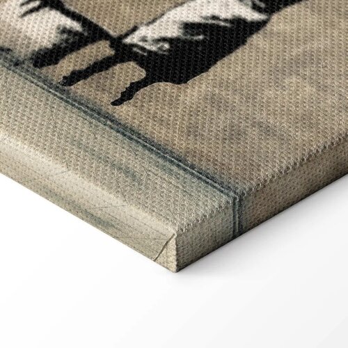  Slika - Banksy: Washing Zebra on Concrete (1 Part) Wide 30x20 Standard Slike