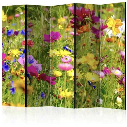  Paravan u 5 dijelova - Summer Flowers II [Room Dividers] 225x172