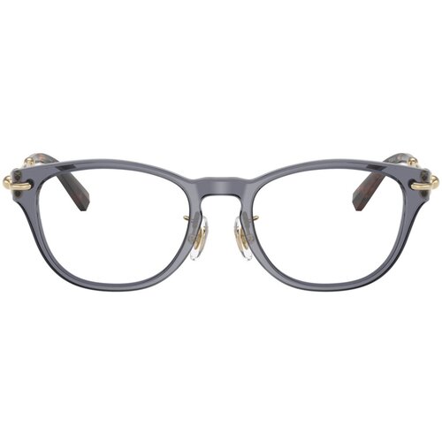 Tiffany Naočare TF 2237D 8405 Cene