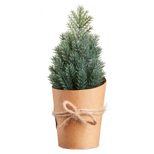 Olimp Sport Novogodišnja jelka u saksiji zelena Cene