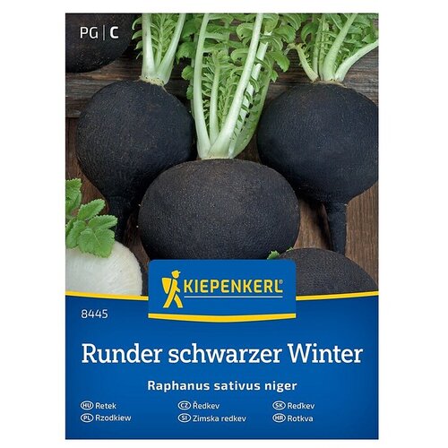 KIEPENKERL Zelenjavna semena Redkvica Runder schwarzer Winter (Raphanus sativus var. niger, Čas žetve: September) Cene