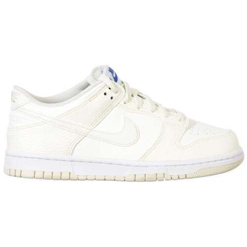 Nike Dunk sarena Cijene