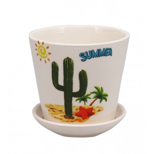 Master Saksija keramička kaktus 01210190 Slike