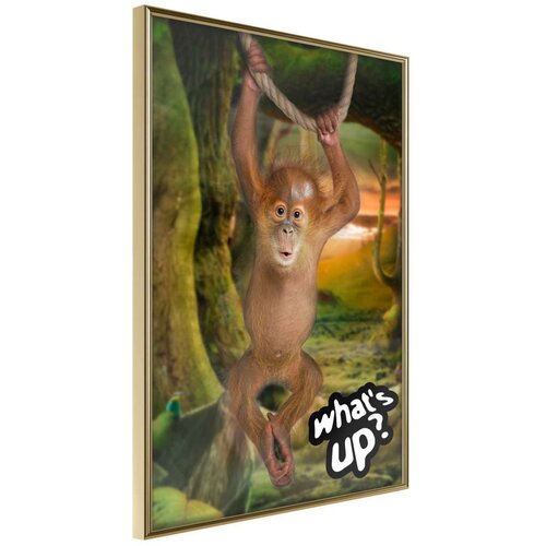  Poster - Life in the Jungle 40x60 Slike