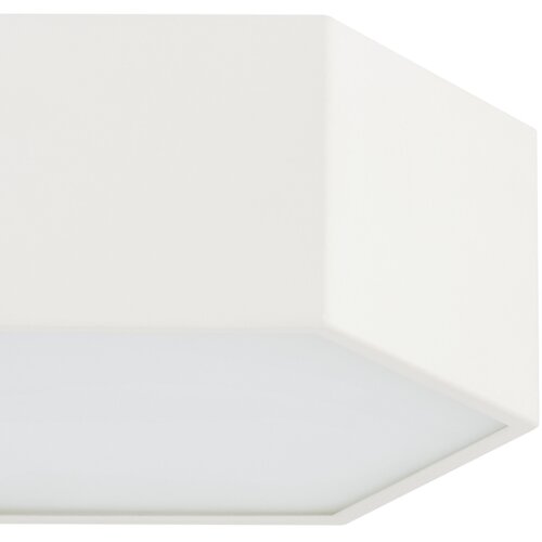  Argon 8781 - LED plafonsko svetlo LIBERO LED/12W/230V 3000K bela Slike