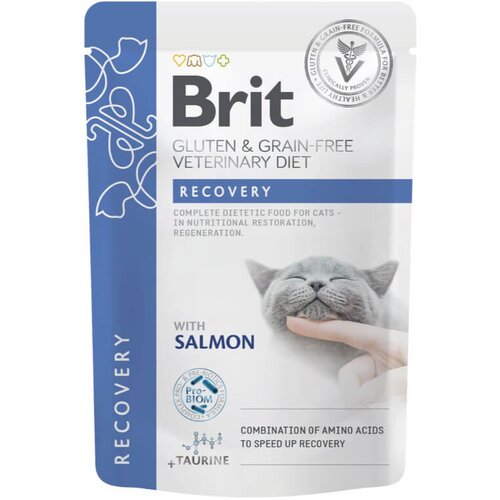 Brit veterinary diet Brit GGF veterinarska dieta za mačke Recovery, vrečka - losos - 85 g 85 g Cene