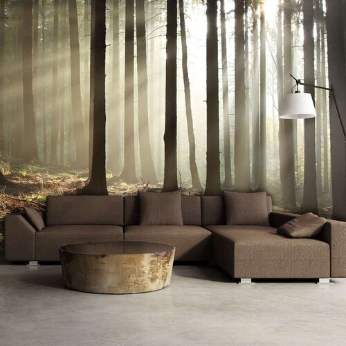  Tapeta - Coniferous forest 450x270 Cijene