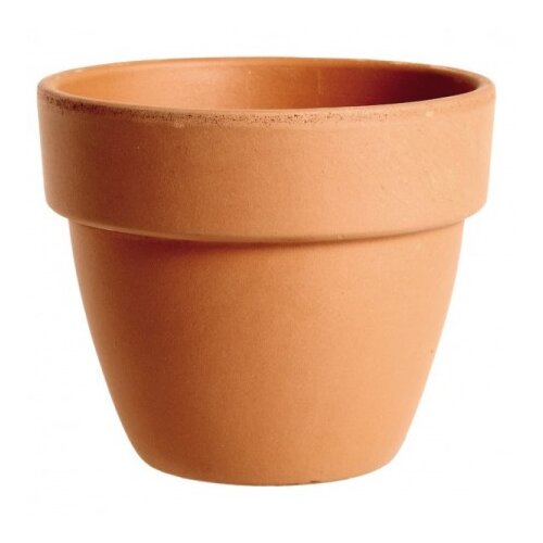 Degrea saksija 16 cm classica palladio terracotta de 17160 Cene