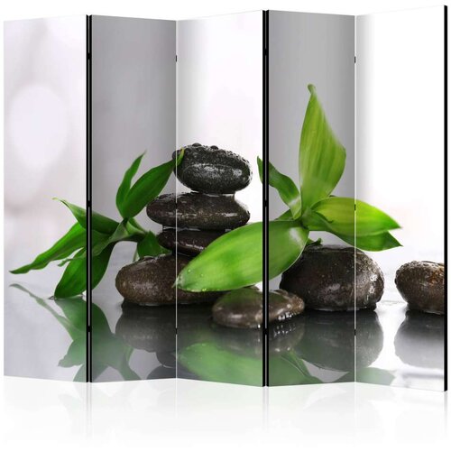  Paravan u 5 dijelova - Peaceful Harmony II [Room Dividers] 225x172 Slike