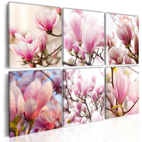  Slika - Southern magnolias 120x80 Slike