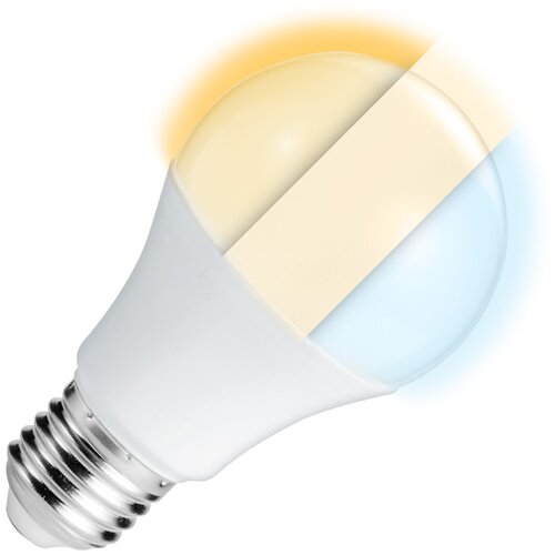  LED sijalica sa promenljivom bojom svetla 10W Cene