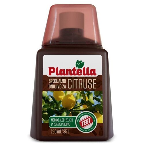  Đubrivo za citruse 250ml Plantella Cene