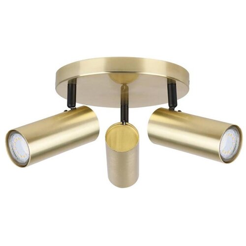 Candellux Lighting Metalna stropna lampa u zlatnoj boji Colly - Cijene