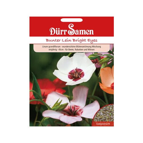 Dürr Samen bunter Lein Bright Eyes Cene
