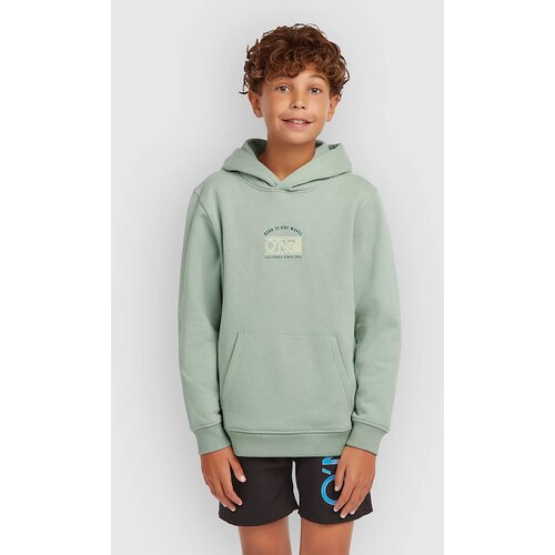 O'neill Graphic Kids Pulover s kapuco marble arch Cene