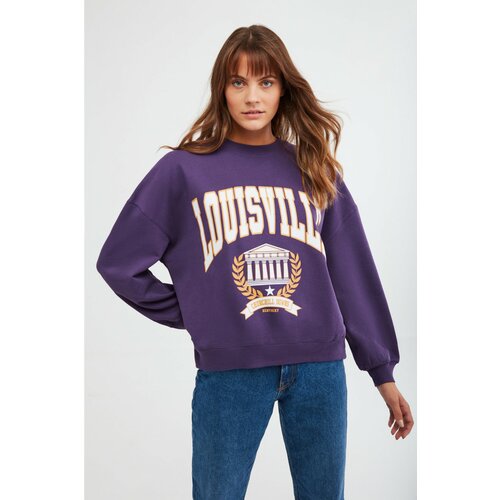GRIMELANGE Sweatshirt - Purple - Oversize Slike