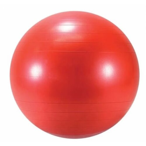 Ledraplastic lopta body ball 55 Cene
