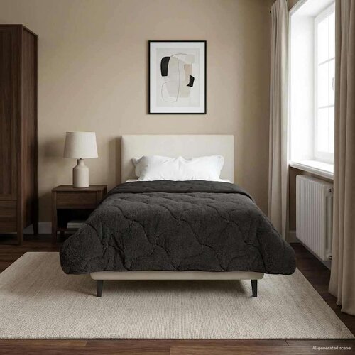  Poletna odeja Antracit 135 x 200 cm Mikrofibra in Teddy flis, (5000284371) Cene