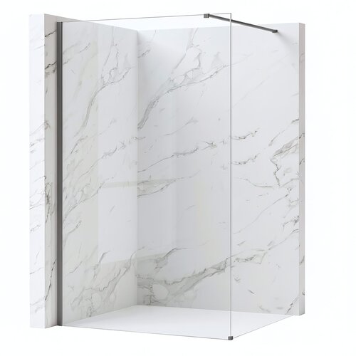 Rea Stena za prhanje Flexi Transparent / Titan 70 Cene