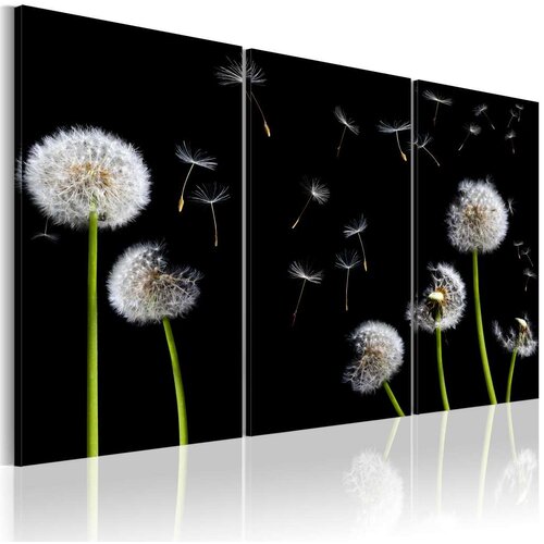  Slika - Dandelions family 120x80 Slike