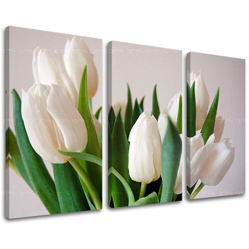  Slike na platnu 3-delne CVIJEĆE KV108E30 (moderne slike na) Cijene
