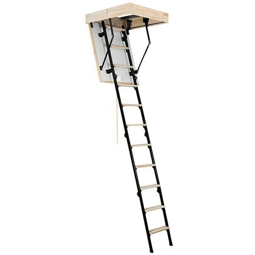 MEISTERHOLZ Tavanske stepenice Mini (D x Š: 100 x 60 cm, Toplinska izolacija: 1,22 W/m²K) Cijene