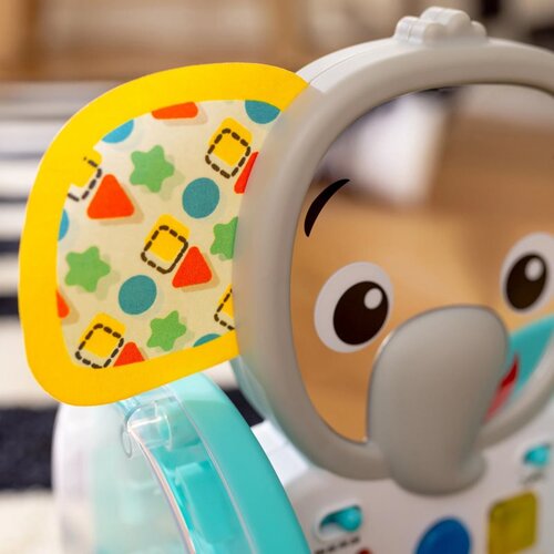BABY EINSTEIN Chase &amp;amp; Tap Earl Interactive Crawling Toy glasbena igrača 6 m+ 1 kos Slike