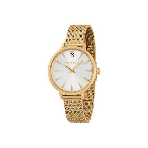 Police Ura pl16035msg22m pisana Cene