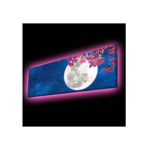 WALLXPERT Dekorativno LED osvetljeno platno sa slikanjem 3090PMDACT 002 Cene