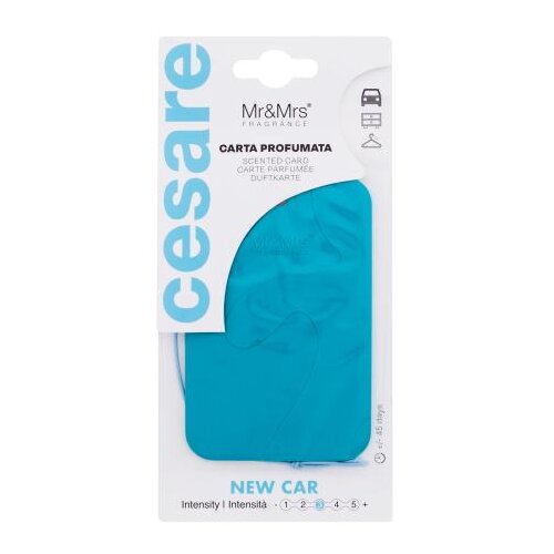 Mr & Mrs Fragrance Cesare Scented Card New Car 1 kom miris za auto Cijene