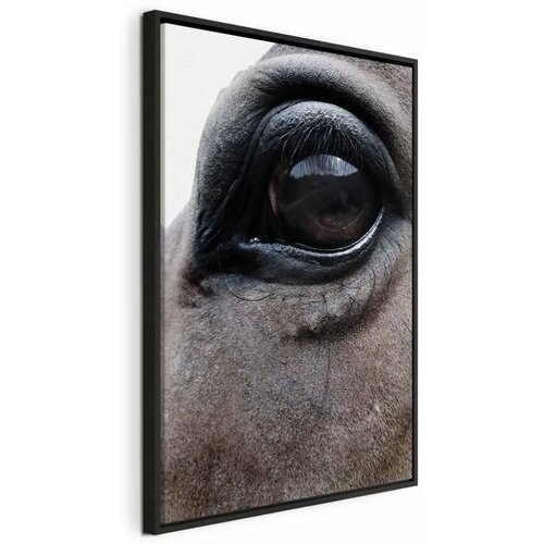  Slika - Honest Eyes (1 Part) Vertical 40x60 U crnom drvenom okviru Cene