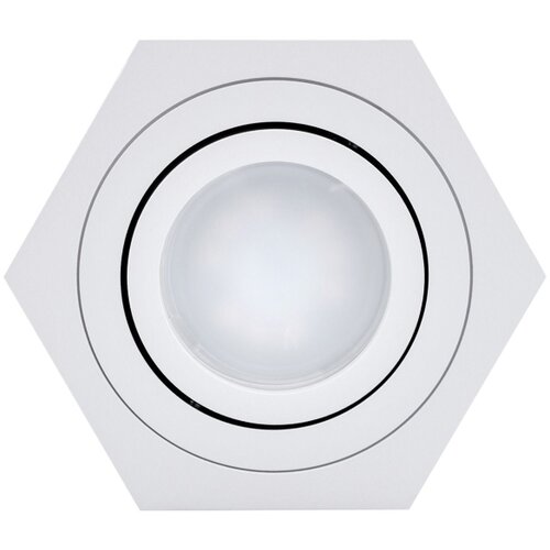  SPOT svetlo ARENO 1xGU10/30W/230V belo Slike