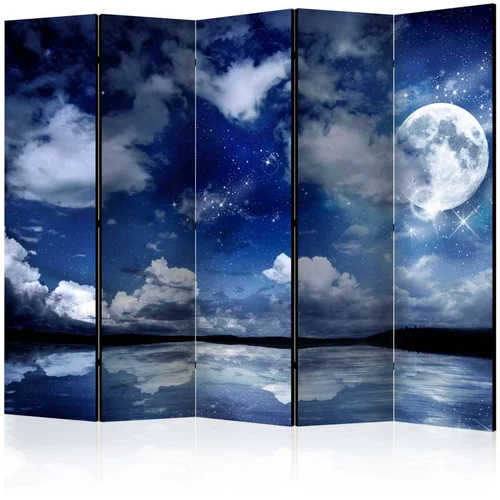  Paravan u 5 dijelova - Magic Night II [Room Dividers] 225x172