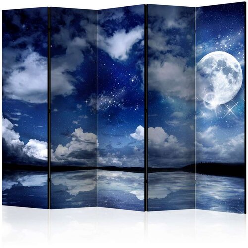  Paravan u 5 dijelova - Magic Night II [Room Dividers] 225x172 Slike