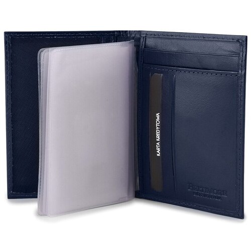 Beltimore Torbe krag95navy pisana Cene