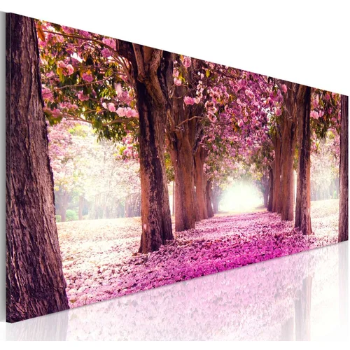  Slika - Fuchsia Garden 120x40