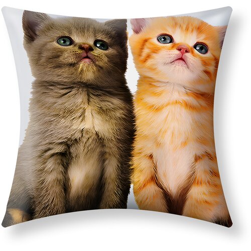 AVIZAR Komplet 2 prevlek za blazine 40x40 cm Dva mačkona Design, Večbarvno, (21747239) Cene