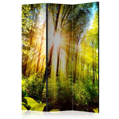  Paravan u 3 dijela - Forest Hideout [Room Dividers] 135x172 Slike