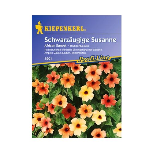 KIEPENKERL Črnooka suzana &amp;quot;African Sunset&amp;quot; Slike
