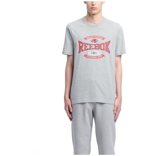 Reebok Majice & Polo majice GS HS TRADITION TEE Siva Cene