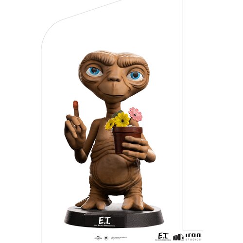 Grupo minico et figura tujca, (20839438) Slike