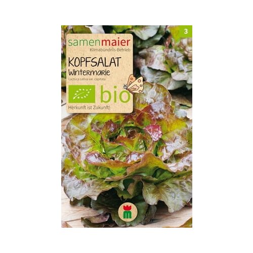 Samen Maier Bio glavnata solata "Wintermarie" Cene