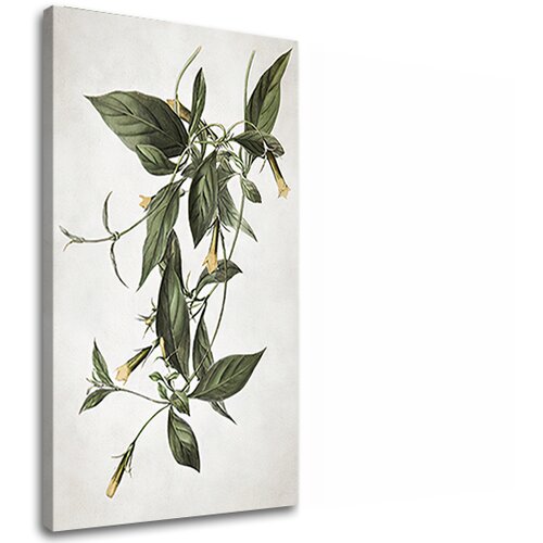  Slike  na platnu biljke 012 (moderne slike na platnu) Cene